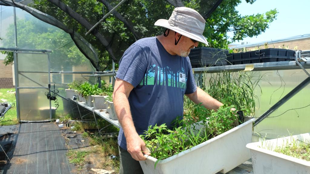 Mike Berryman holds a small wicking bed in the Bailey Middle School greenhouse