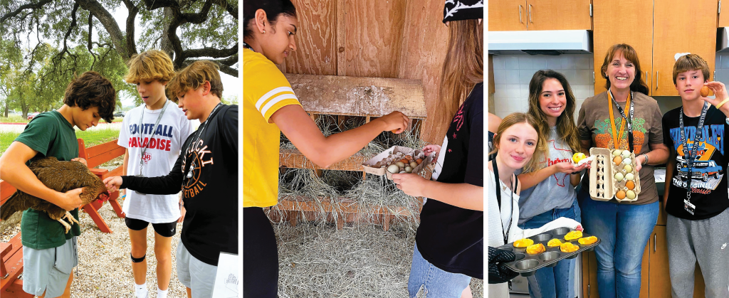 Three photos, left to right: Students hold a chicken and point out parts; students gather eggs from the chicken coop; students show off their eggs and egg bites with Ms. Don De'Ville.