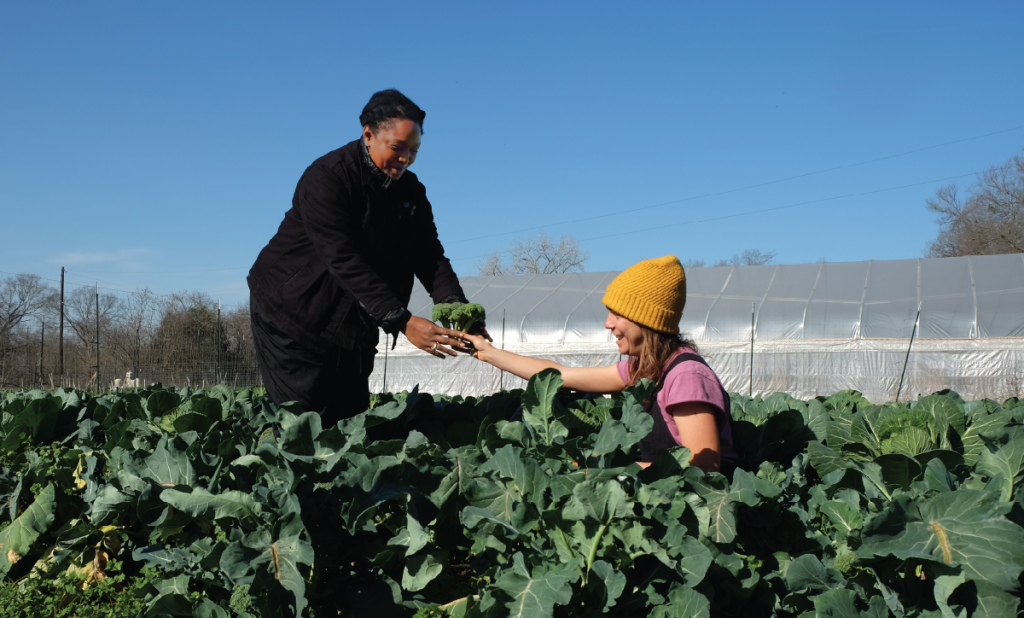 Briana kneels in a field of greens and hands Starla a bunch of broccoli.