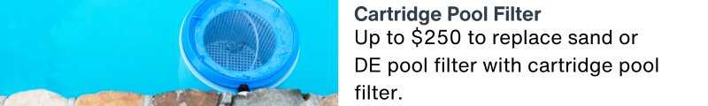Up to $250 to replace sand or DE pool filter with cartridge pool filter.