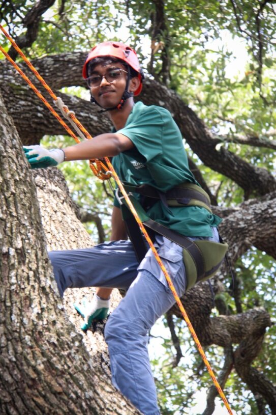 Anish in climbing equipment in a tree