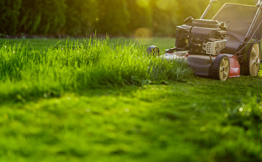 push mower mowing over tall grass in a yard