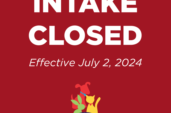 Intake closed effective July 2, 2024