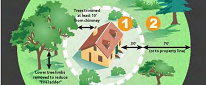 graphic of a house with trees around it with recommended distances for trees to be away from house to stay fire safe