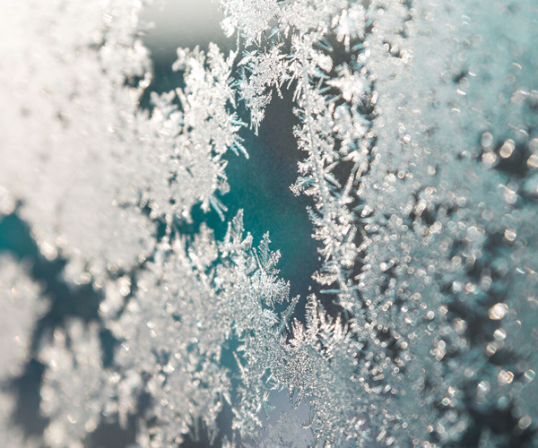 Window covered in winter frost